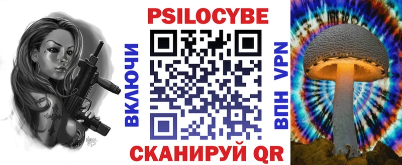 Галлюциногенные грибы Psilocybine cubensis  Балтийск 